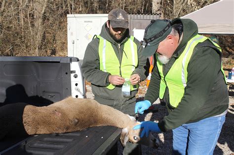 CWD Test Results - Virginia