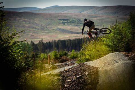Cycling and mountain biking trails at Kielder Forest - raincitystudios.com