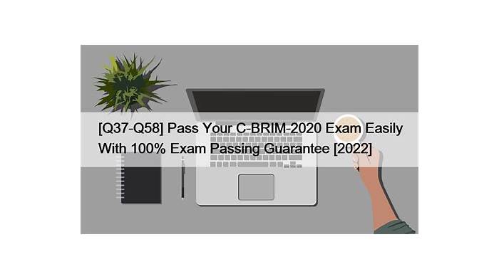 Exam C_BRIM_2020 Dumps