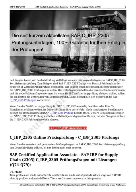 C_IBP_2305 Online Prüfungen