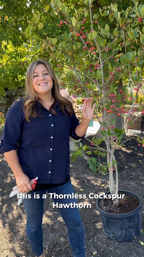 C_Lane08 Leaked 🍆 PORN