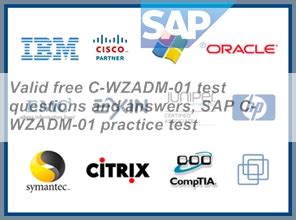 C_WZADM_01 PDF Testsoftware