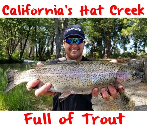 Ca trout plants. Things To Know About Ca trout plants. 