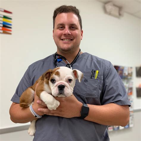 Cabarrus animal hospital. Dentistry at Harrisburg Animal Hospital: According to the American Veterinary Dental Society, more than 80% of dogs and 70% of cats have dental disease by the age of 3. Dental… Read More 