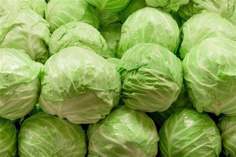 Cabbage Price Per Pound