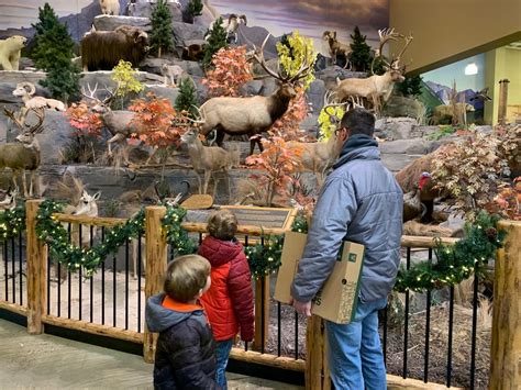 48 reviews of Cabela's "It is really nice to see Cabela's come to the area. The store is smaller than I am used to but it does have most all of what I would need. It is kind of tough traffic-wise at times but easy enough to get in and out of. We are sure to be back." 