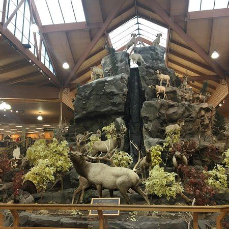 Cabelas dundee. 92 reviews of Cabela's "If you are an outdoors men, you can find what you want here. Everything from boats to portable bathrooms. Not the best place if you are a PETA supporter, a taxidermist made millions with the decorations in this store. I find it amazing, all the American animals, even African, standing around watching you … 