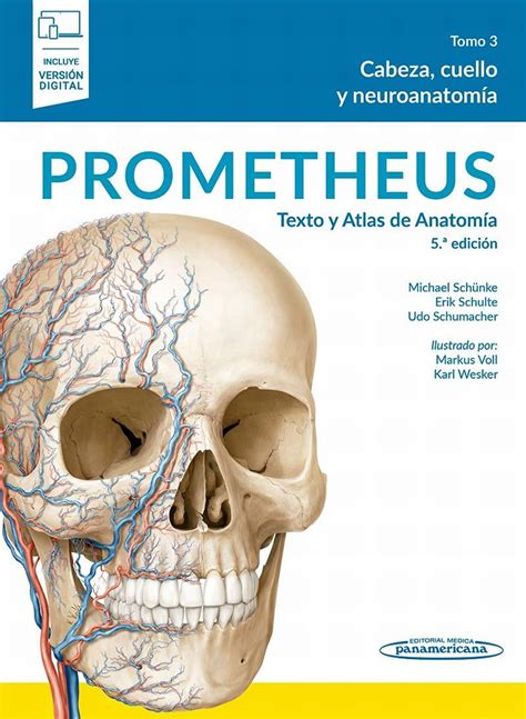 Cabeza y neuroanatomia head and neuroanatomy prometheus texto y atlas de anatomia prometheus textbook and anatomy. - Fuji finepix f410 service repair manual.