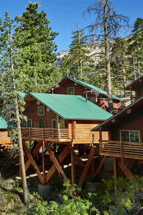 Cabins for rent at mount charleston