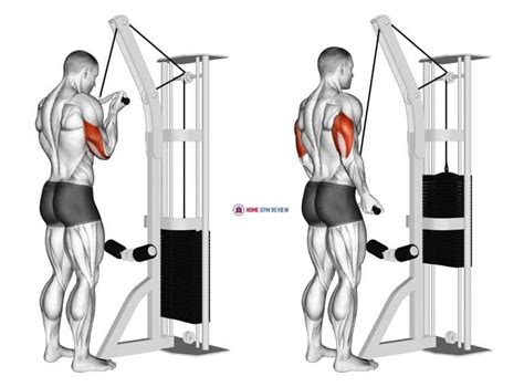 Cable push down triceps. Triceps Pushdowns are done by following these 6 steps: Attach the band towards the top of a door with a door anchor. Grab the band with both hands, so there is tension in the band in the top position. Hold your elbows fixed at the sides of your body. Bring your hands down by extending at your elbows until fully extended. 