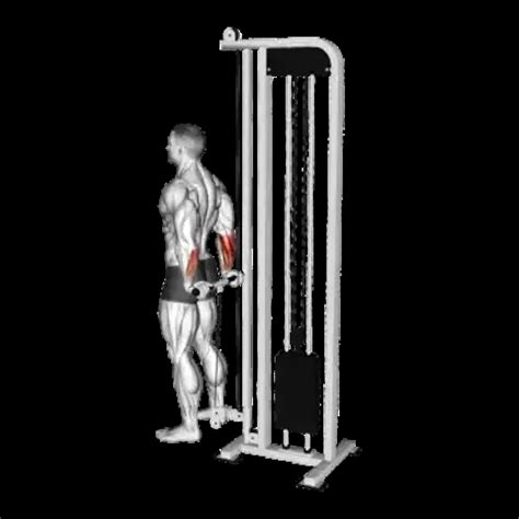 Cable wrist curls standing.  This exercise is performed by standing in fron...