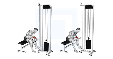 Cable wrist extension.  The cable machine offers consistent tension which improves control, Us...