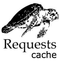 Caching External API Requests – Real Python