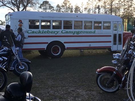 Cacklebery campground photos. Cacklebery Campground, New Smyrna Beach, Florida. 17,931 likes · 293 talking about this · 21,478 were here. The best fully serviced RV and biker campground in Daytona Beach. Stay here during Daytona... 