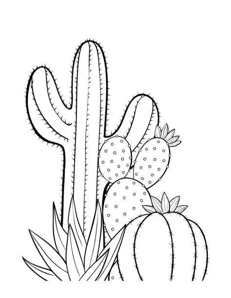 Cactus Coloring