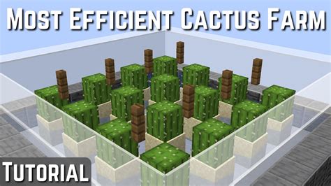 Cactus Farming in Minecraft How to Make Use Cactus Farms
