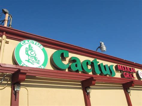 Cactus grille. Things To Know About Cactus grille. 