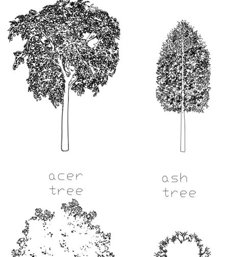 Cad Blocks Trees Archives First In Architecture