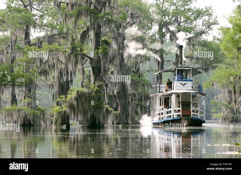 Caddo Lake Boat Tours Prices
