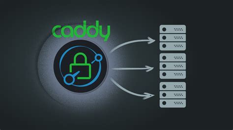Caddy 2 proxy.  It's Docker + Caddy (the reverse proxy you should be using inste...
