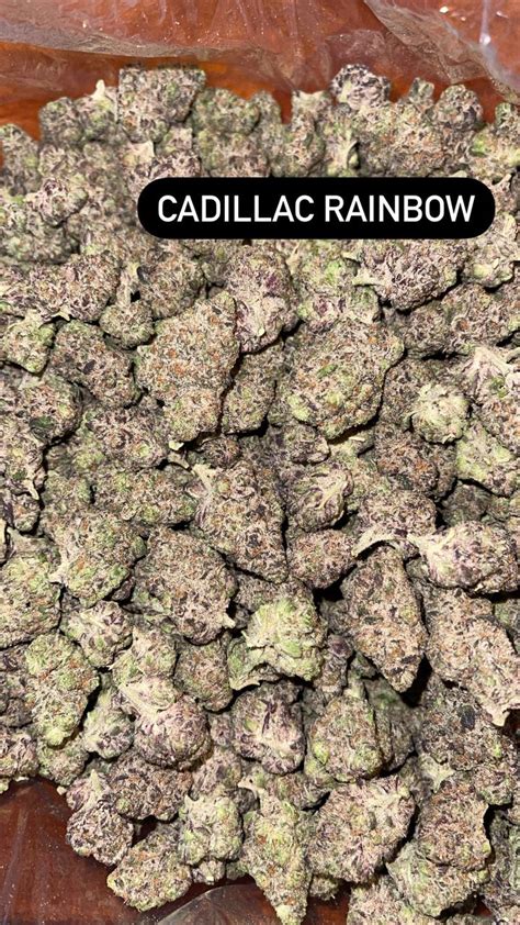 Cadillac rainbows strain. The moment you open the package you will get the fresh smell of garlic. Almost a little overwhelming but the citrus smooths it out.Cadillac Rainbows has a de... 