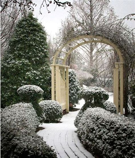 Cadri winter garden. Properly winterize your endless summer hydrangea plant by creating a cold-weather cover. This keeps the old wood fresh and ready for flowering. You need mulch, garden stakes, a ham... 