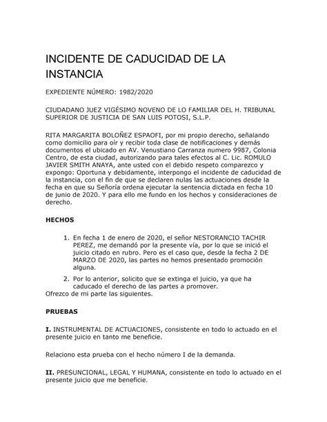 Caducidad de la instancia e incidentes provincia de buenos aires. - Recognition enforcement of cross border insolvency a guide to international.