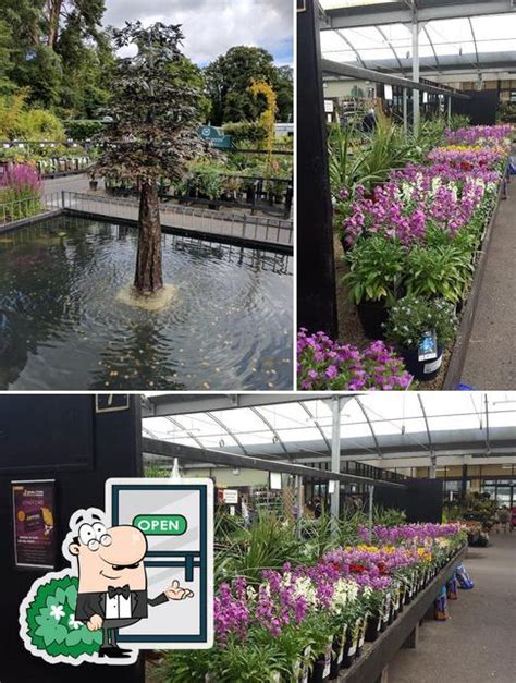 Cafe - Review of Johnstown Garden Centre, Johnstown, Ireland