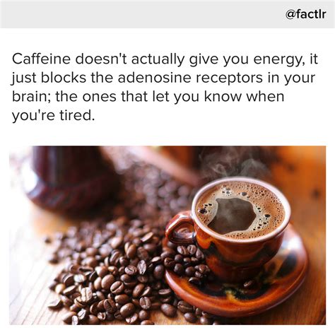 Caffeine doesn