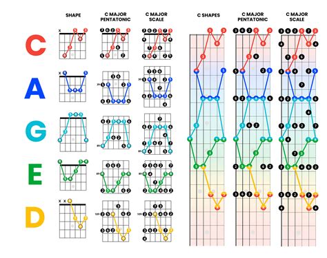 Caged system guitar. Here are the major scale in all the five CAGED shapes: The following diagrams shows how we start with the template of just the triad, just one note per string and three notes per octave – the root, major 3rd and … 