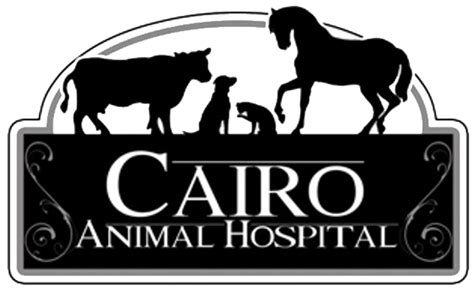 Cairo animal hospital. Cairo Animal Hospital. 1646 US Highway 84 W Cairo GA 39827 (229) 377-1803. Claim this business (229) 377-1803. Website. More. Directions ... 