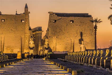 Cairo to luxor. Jan 18, 2024 · Fly from Cairo to Luxor in comfort and get ready to explore even more ancient attractions. Visit the Valley of Kings, home to more than 60 royal tombs, including the tomb of King Tutankhamen. Explore the ancient temple city of Karnak; Luxor Temple, Hatshepsut Temple and a whole lot more. Cairo – Luxor tour – 5 full days of fun and adventure ... 