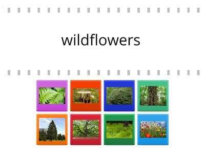 Caitlinbrown2 Onlyfans Leaked (SEX) 💋 72 Vids