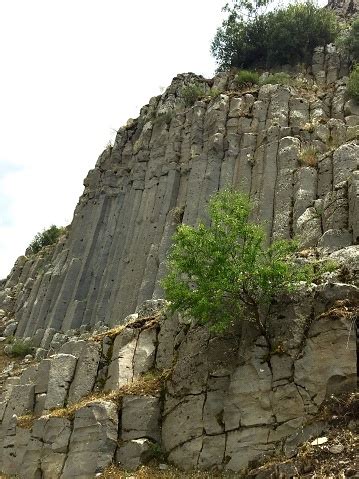 Cakirca Halı ve Koltuk Yıkama
