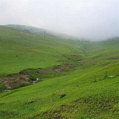 Cakirli Halı ve Koltuk Yıkama