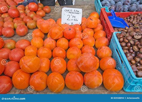 Cakis Halı ve Koltuk Yıkama