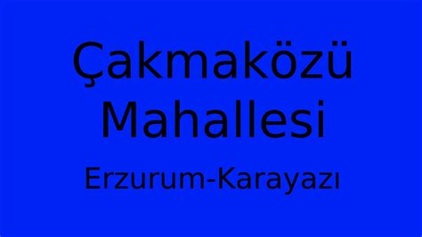 Cakmakozu Halı ve Koltuk Yıkama