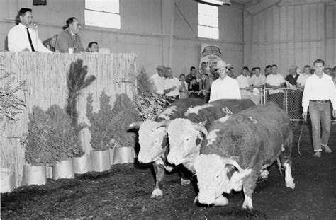Cal Poly Bull Test