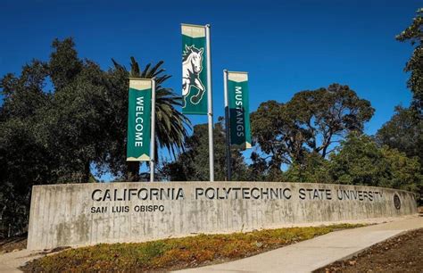 View the official academic calendar for Cal Poly, including fall, winter, spring and summer terms. Find dates for classes, exams, holidays, commencement and more.. 