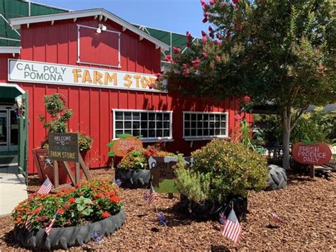 Cal poly farm store. Cal Poly Pomona Farm Store Online Ordering Menu. 3801 W TEMPLE AVE. #55 POMONA, CA 91768 (909) 869-4906. 10:00 AM - 6:00 PM Start your carryout order. ... 