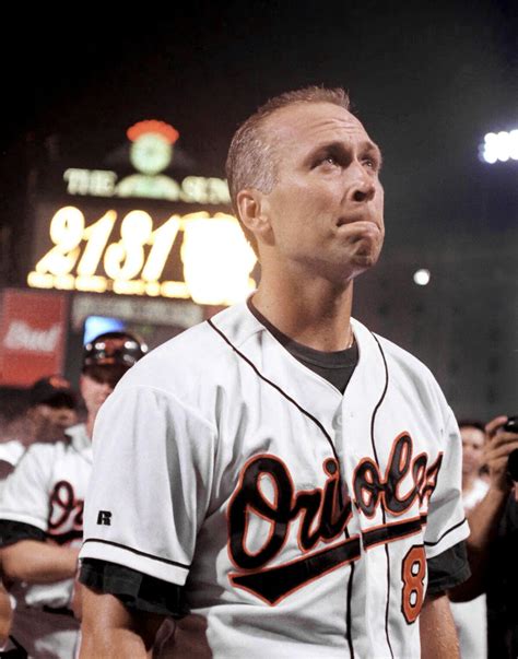 Cal ripken jr wiki