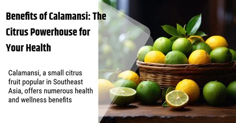 Calamansi medicinal uses.  The nutritional powerhouse of calamansi Comprehensive ...