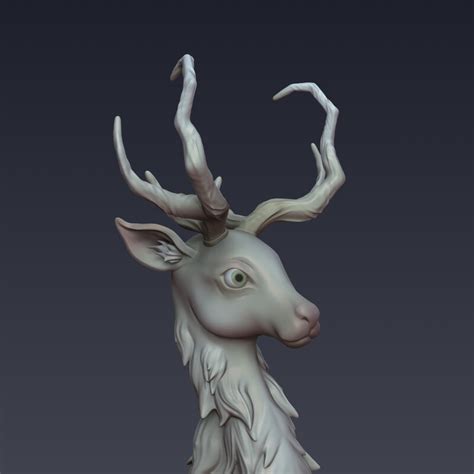 Calapkulu Halı ve Koltuk Yıkama