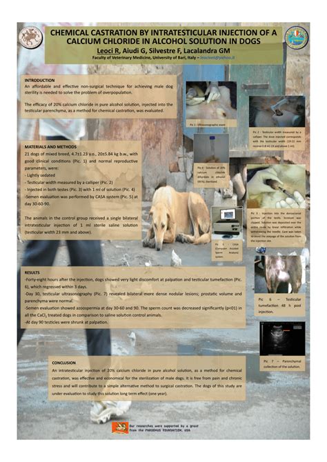 Calcium chloride castration.  Previous research has shown intratesticular...