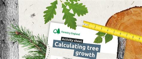 Calculating tree height Forestry England