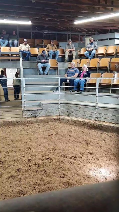 Caldwell Kansas Livestock Market