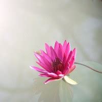 Caledon obituaries.  Save Search View most recent obituaries published on the ...