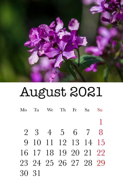 Calendar Card for the Month of August Stock Image Image of design