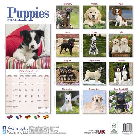 Calendar Puppies