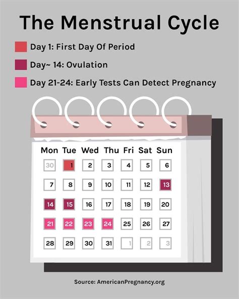 The Luteinizing Hormone (LH) is consistently detected in your urine. There is an increase in presence 24 to 48 hours prior to ovulation. An ovulation predictor kit detects this increase and lets you know that you are ovulating. As ovulation predictor kits help you identify and confirm when you are ovulating, you should record these dates on ....